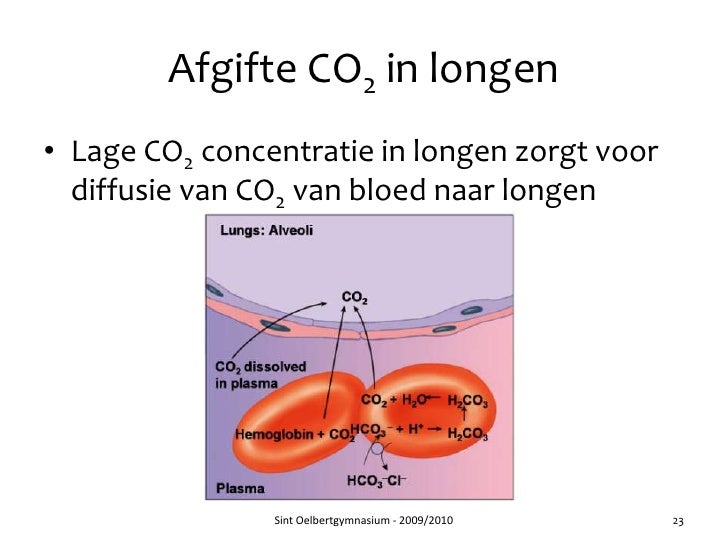 Hoofdstuk 32 - Audesirk