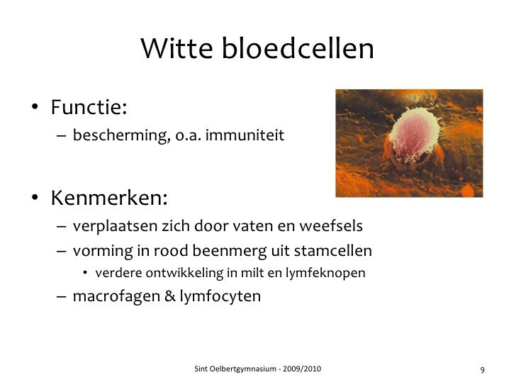 vetten functie
