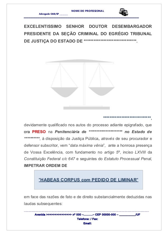 HABEAS CORPUS MODELO habeas corpus modelo: