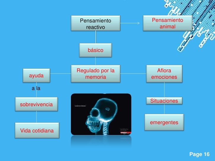 Pensamiento      Pensamiento                    reactivo         animal                     básico                 Regulad...