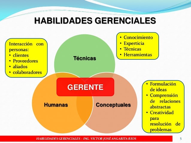 Conocimientos Que Debe Tener Un Gerente General