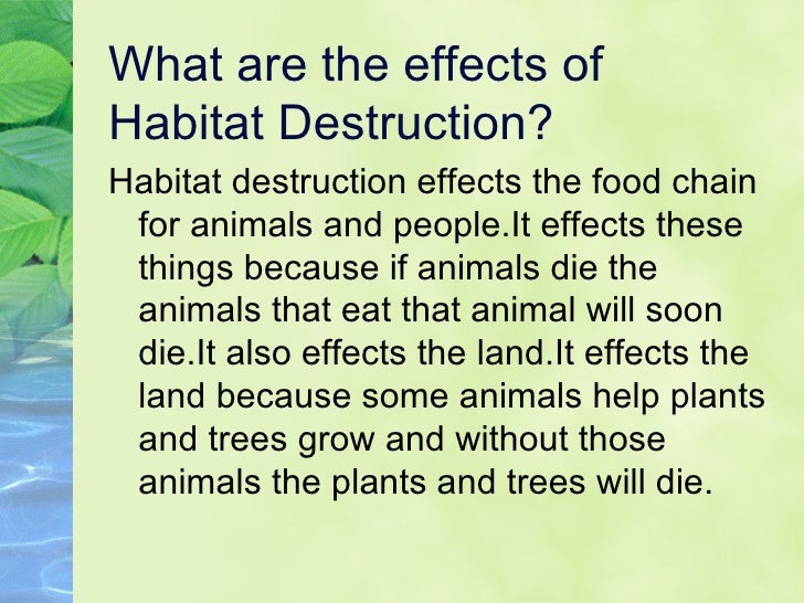Habitat Destruction