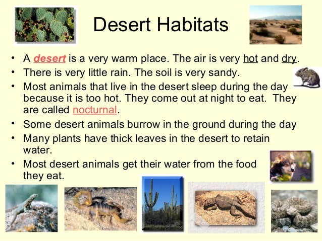 Desert Habitats - Lessons - Blendspace
