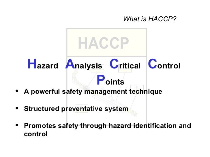 bellagio casino resort control system analysis Read this essay on management planning and controlling bellagio casino and resort 1 determination of the management control system choices at the bellagio. bellagio casino resort control system analysis Read this essay on management planning and controlling bellagio casino and resort 1 determination of the management control system choices at the bellagio.