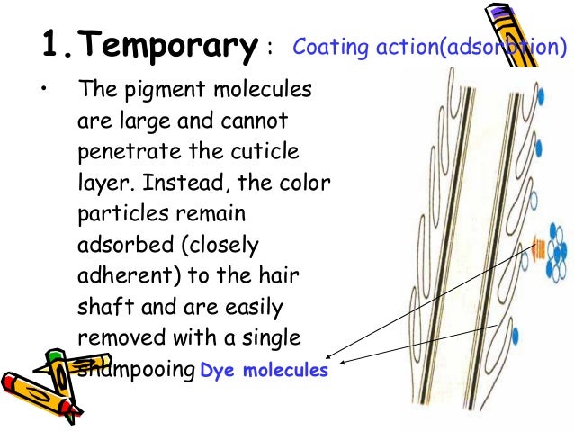Haircoloring and Chemical Texture Services for Milady Standard Cosmetology 2012 Haircoloring and Chemical Texture Services for Milady Standard Cosmetology 2012