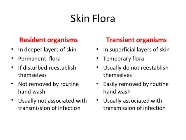 Flora Skin Care Flora Skin Care