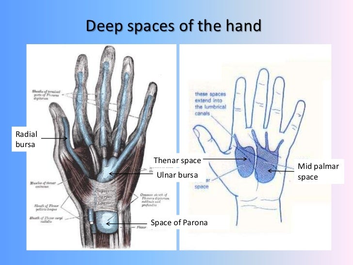 Hand trauma - soft tissue injuries overview ,principles of management