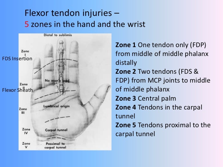 Hand trauma - soft tissue injuries overview ,principles of management