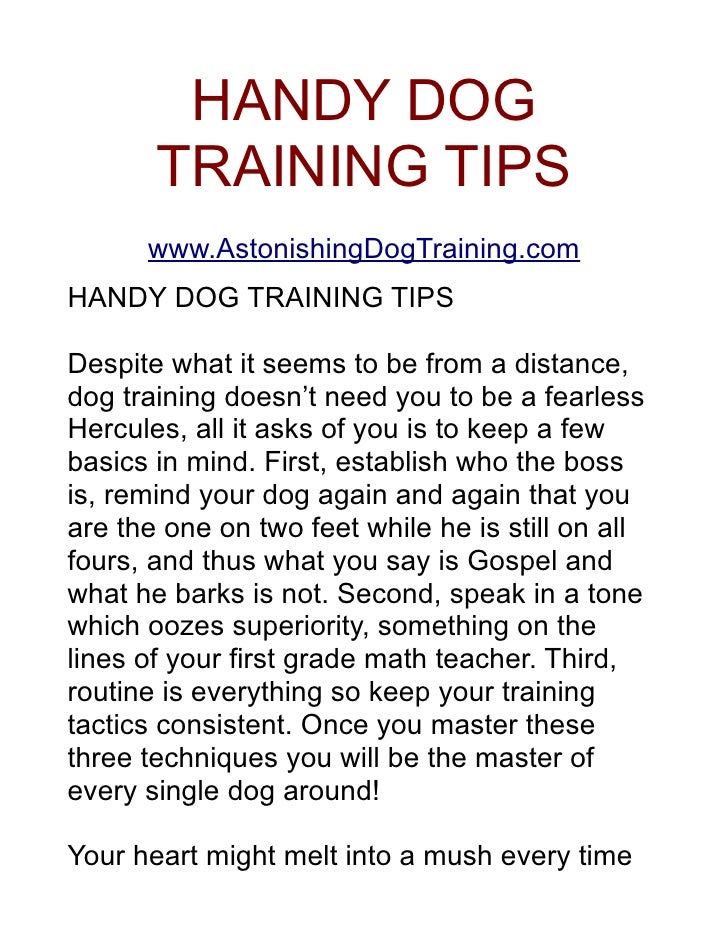 puppy obedience tips handy tips puppy obedience tips handy tips