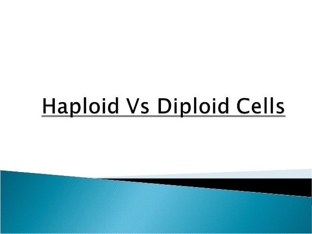 haploid vs diploid cells venn diagram for mitosis and meiosis
