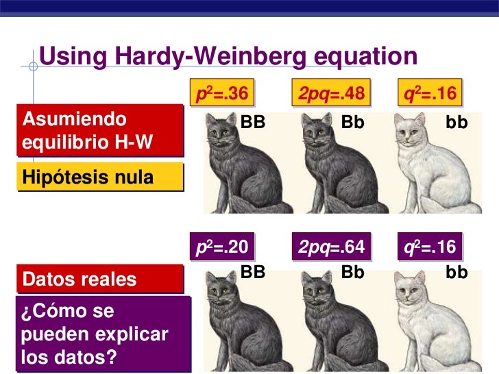 El equilibrio Hardy Weinberg
