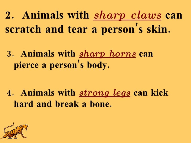 Harmful Effects Of Animals And Conserving Animals