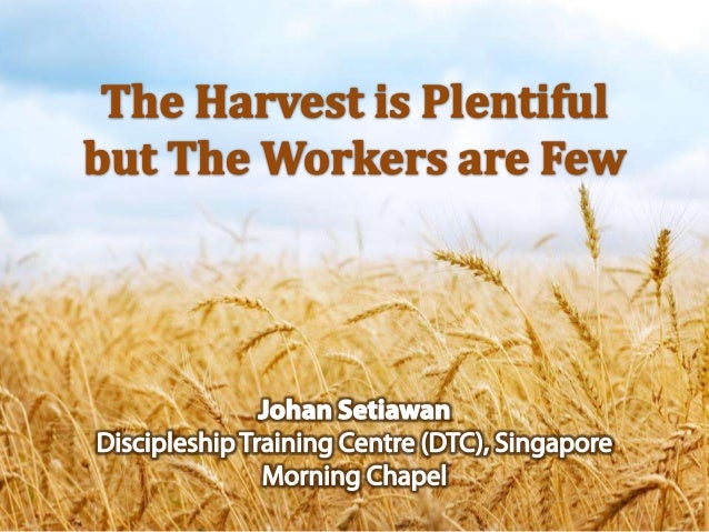 The Harvest Is Plentiful But The Workers Are Few | the harvest are plentiful but the workers are few The Harvest Is Plentiful But The Workers Are Few | the harvest are plentiful but the workers are few