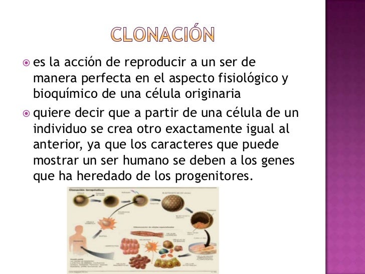 clonacion y genoma humano
