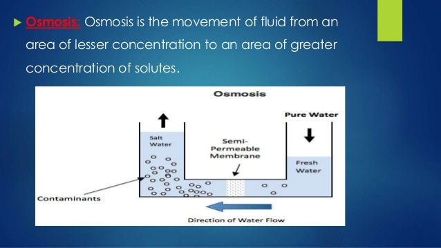 Peritoneal Dialysis Osmosis