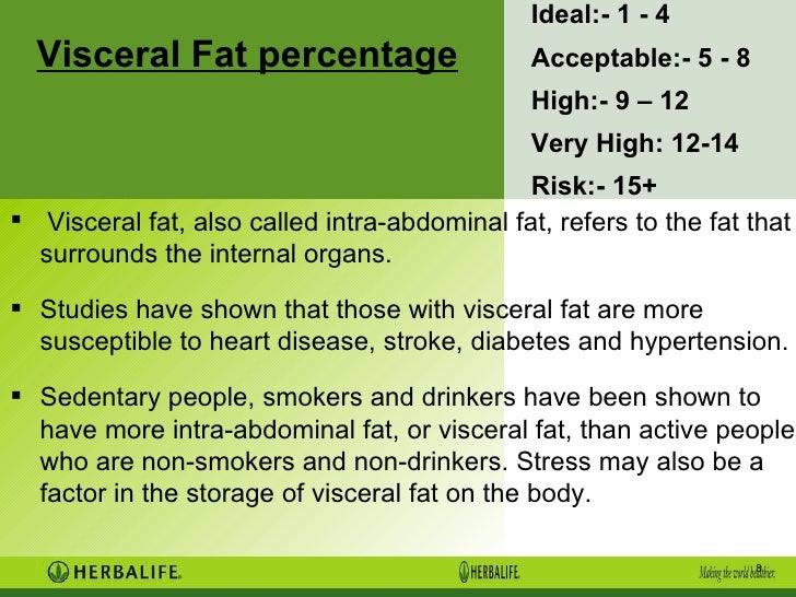 Visceral Fat Scale 42