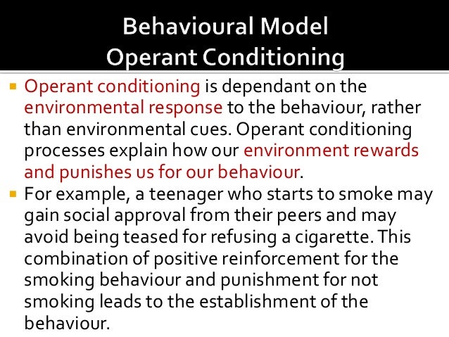 Operant Conditioning Essay