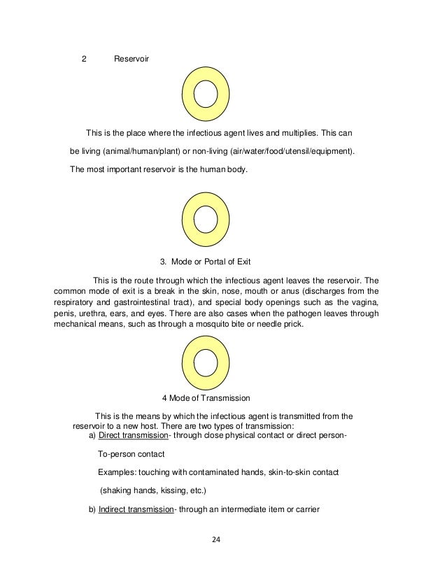 Essay on sonnet 18