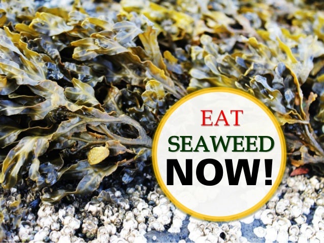 Healthy living: Eat seaweed now!