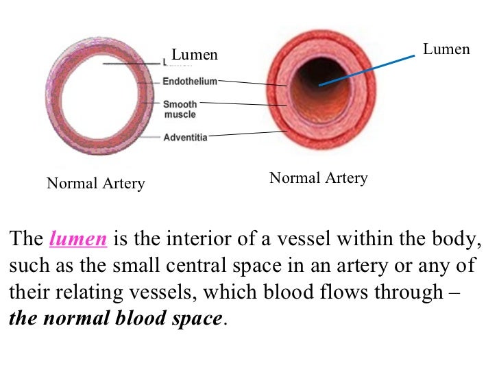 Science on emaze
