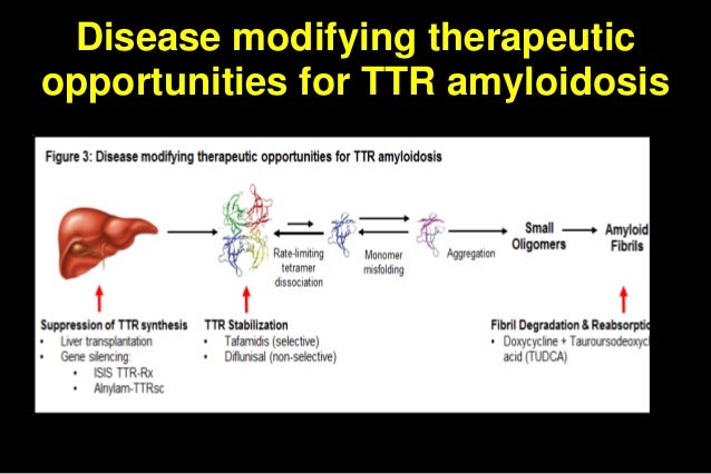 Heart failure with preserved lvef and senile amyloidosis