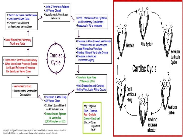 List of abnormal heart sounds