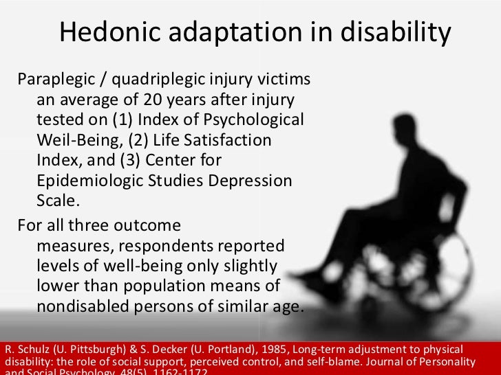 hedonic adaptation