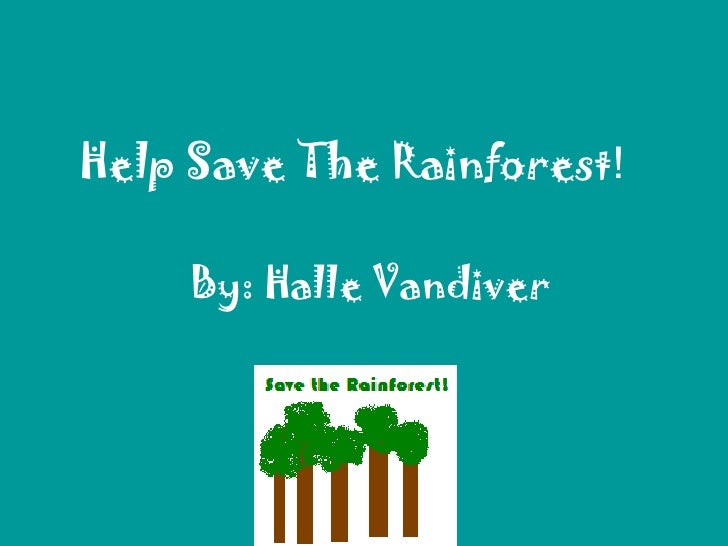 Help Save The Rainforest!