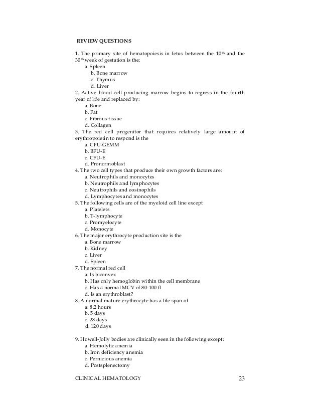 questions for book report book report summary questions dgereport77 web fc2 questions for book report book report summary questions dgereport77 web fc2