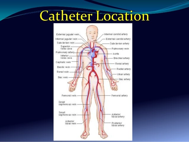 kidney function problems