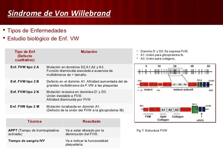 Diferencia Entre Hemofilia Y Enfermedad De Von Willebrand