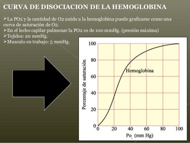 Curva De Saturacion De La Hemoglobina es.slideshare.net