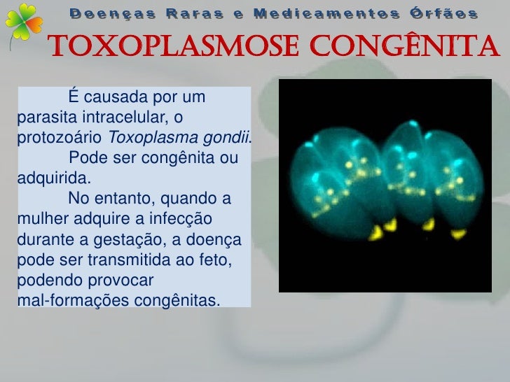 Enemas em vermes o adulto