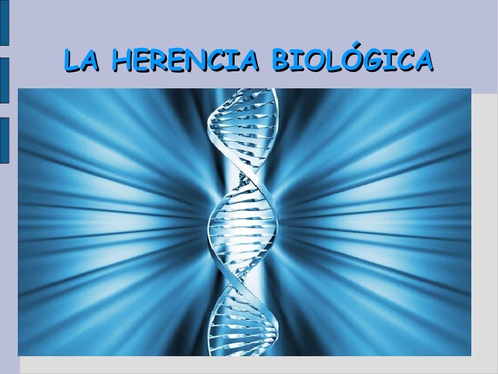 Teoria de la herencia biologica_teoria_online