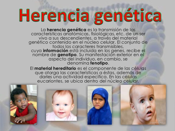 Teoria de la herencia genetica_teoria_online
