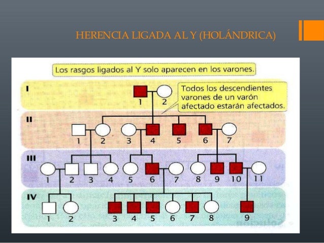 Herencia post mendeliana