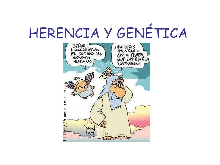 HERENCIA HUMANA herencia humana: