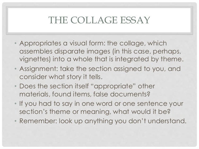 What is a hermit crab essay image