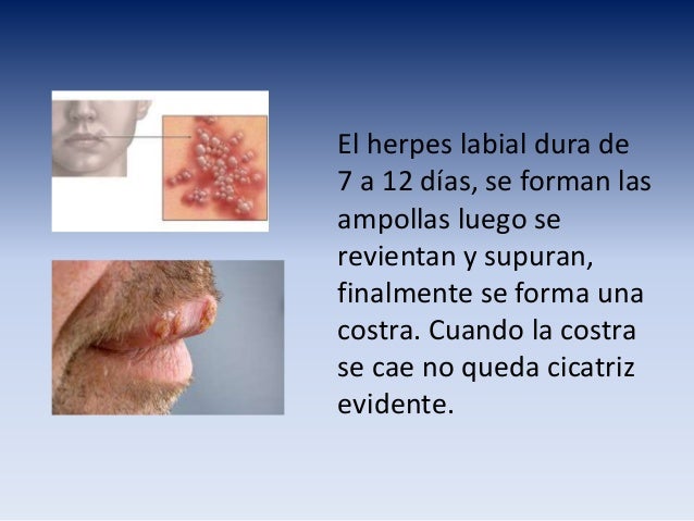 El cura se va de putas 4