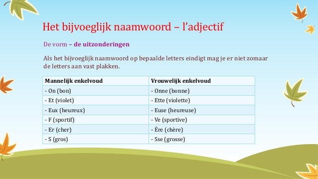 Wanneer Mannelijk Of Vrouwelijk Frans - Bloemen