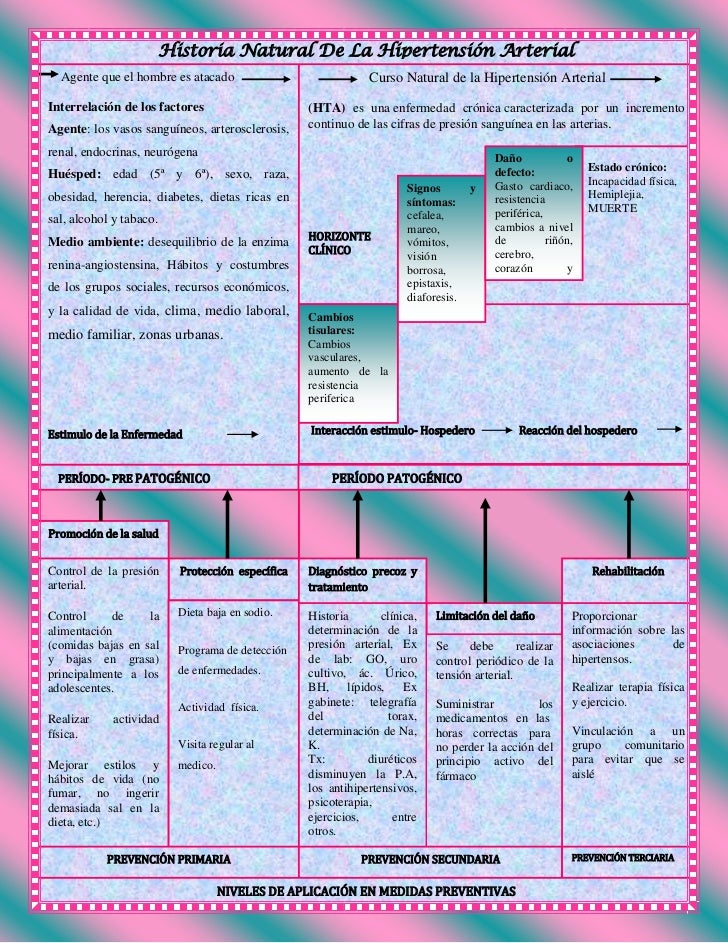 HISTORIA NATURAL DE LA HIPERTENSION ARTERIAL historia natural de la hipertension arterial: