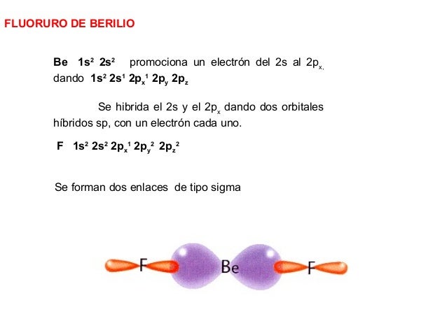 Hibridacion presentacion