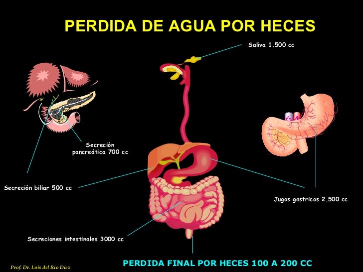 Cómo quemar grasa en el abdomen photo 9