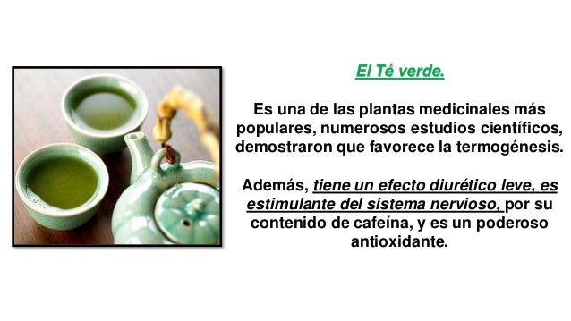 Plantas Naturales Para Adelgazar