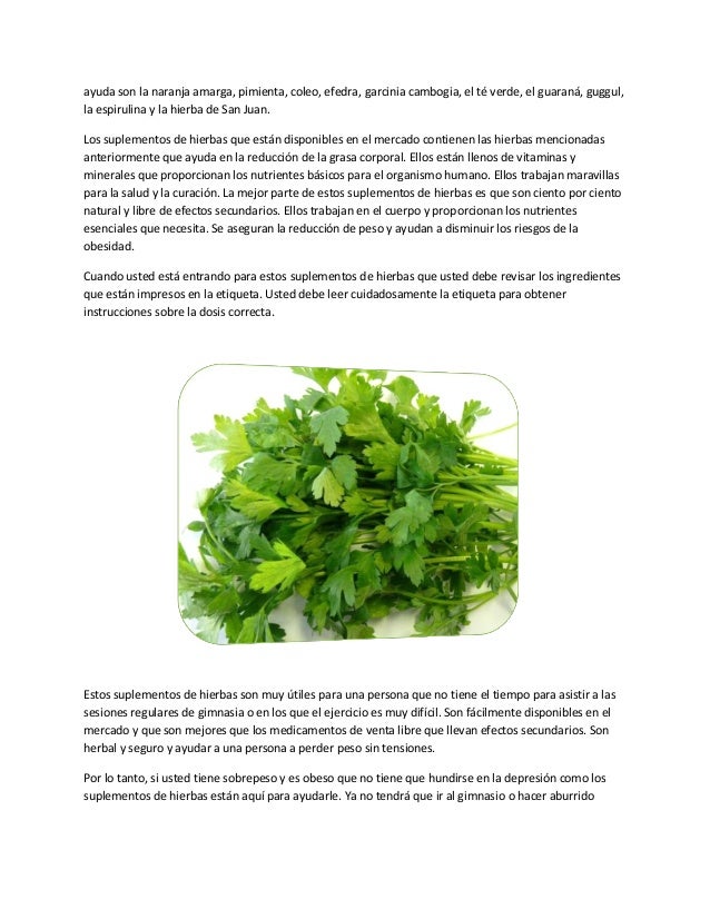 comidas para perder peso recetas comidas para perder peso recetas