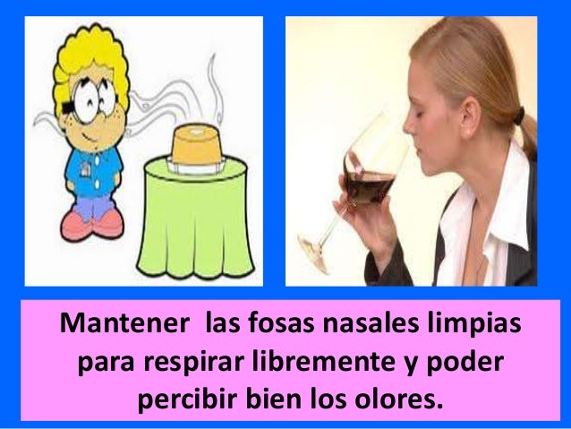 Higiene y cuidado del olfato 2º