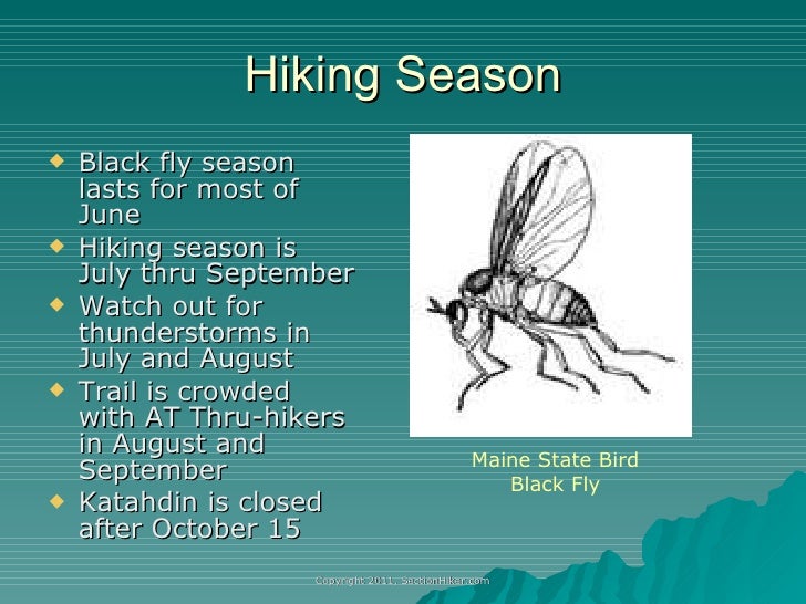 Hiking Maine's 100 Mile Wilderness