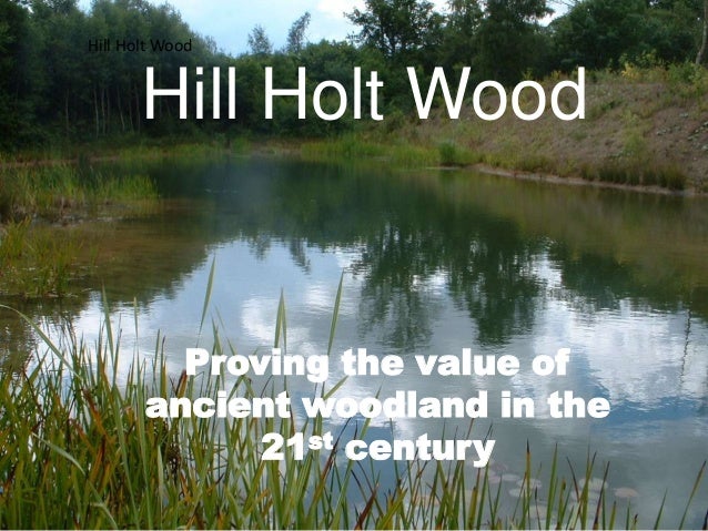 Design Hill Holt Wood | hill holt wood gainsborough presentation Design Hill Holt Wood | hill holt wood gainsborough presentation