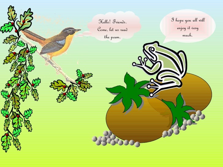 the frog and the nightingale the frog and the nightingale