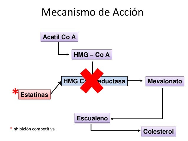 Bezafibrato y pravastatina - Farmacia Bezafibrato y pravastatina - Farmacia